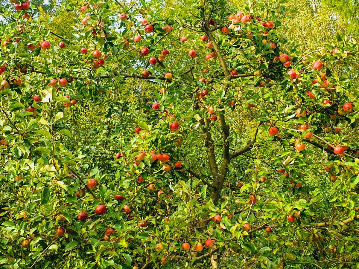 Domek Tylko Dla Ciebie Szczyrk Exteriör bild